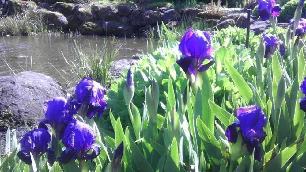 Oregon Garden Resort Сілвертон Екстер'єр фото